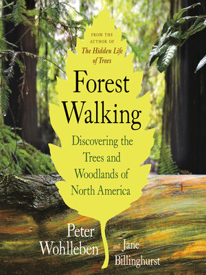 cover image of Forest Walking